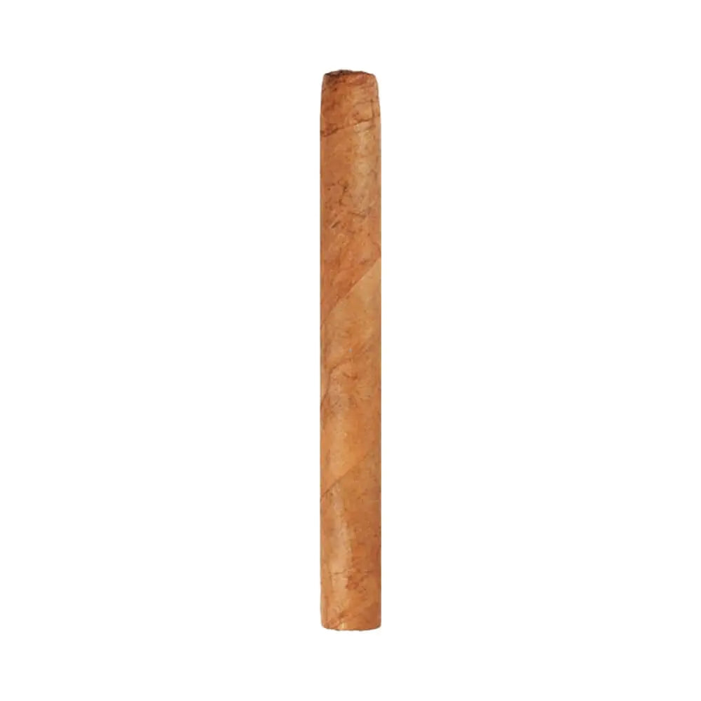 Ashton Small Cigars Senoritas Connecticut - Blue Box Ashton