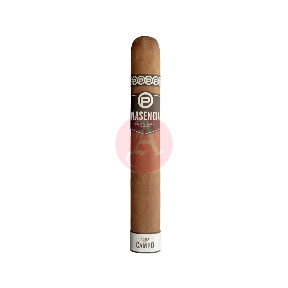 Plasencia Alma Del Campo Madrono Gordo Single Cigar