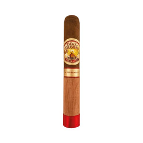 AJ Fernandez Dias de Gloria Gordo Single Cigar