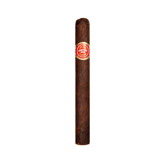 Arturo Fuente Gran Reserva Brevas Royale Maduro Single Cigar