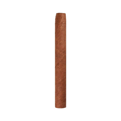 Ashton Small Cigars Senoritas - White Box