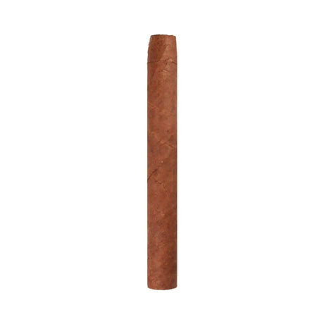 Ashton Small Cigars Senoritas - White Box