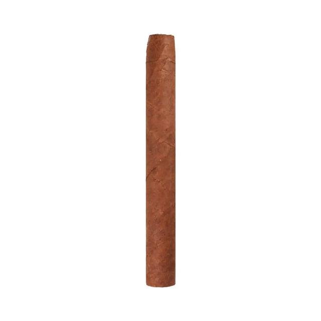 Ashton Small Cigars Senoritas - White Box