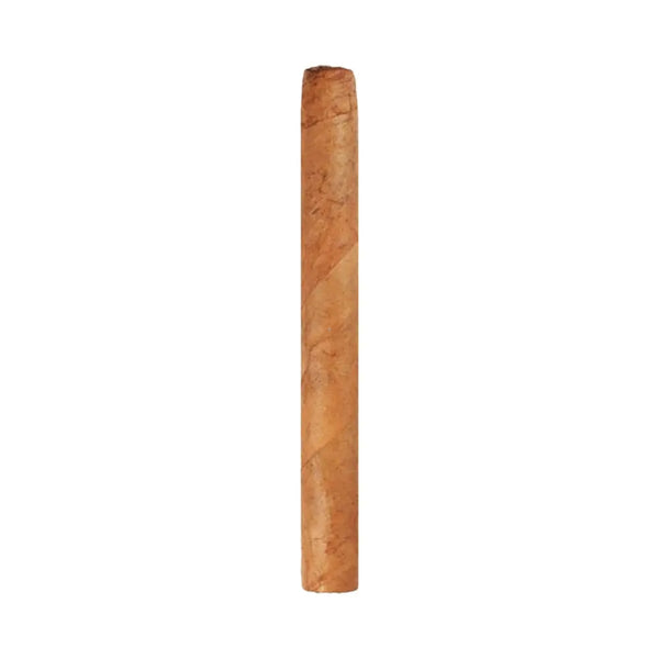 Ashton Small Cigars Senoritas Connecticut - Blue Box