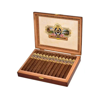 Ashton ESG 24 Yr. Salute Perfecto Ashton