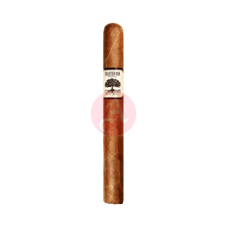 Foundation Charter Oak Habano Petite Corona Single Cigar