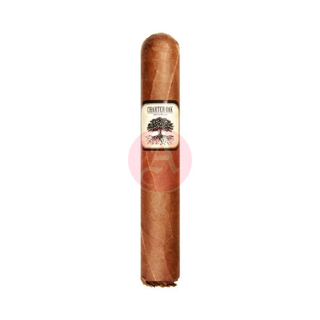 Foundation Charter Oak Habano Rothschild Single Cigar
