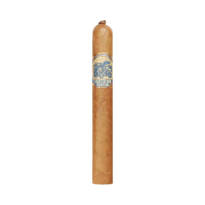 Foundation Charter Oak Pegnataro Shade Corona Gorda