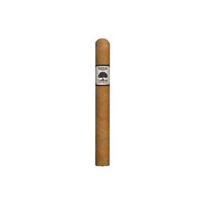 Foundation Charter Oak Shade Lonsdale single cigar