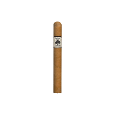 Foundation Charter Oak Shade Lonsdale single cigar