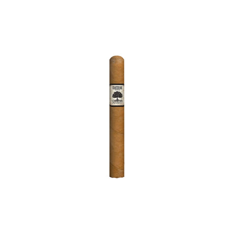 Foundation Charter Oak Shade Petite Corona single cigar