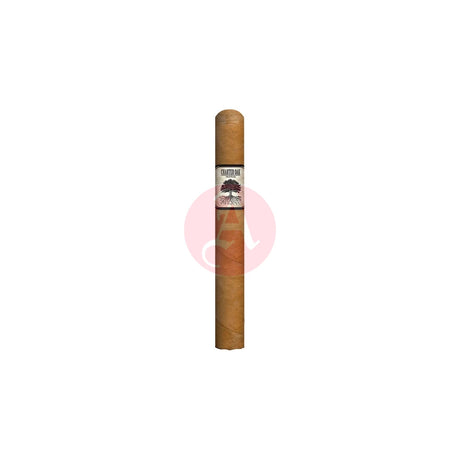 Foundation Charter Oak Shade Petite Corona Single Cigar
