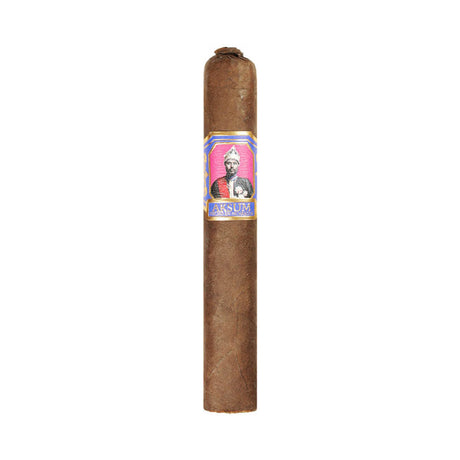 Foundation Metapa Maduro Robusto Single Cigar