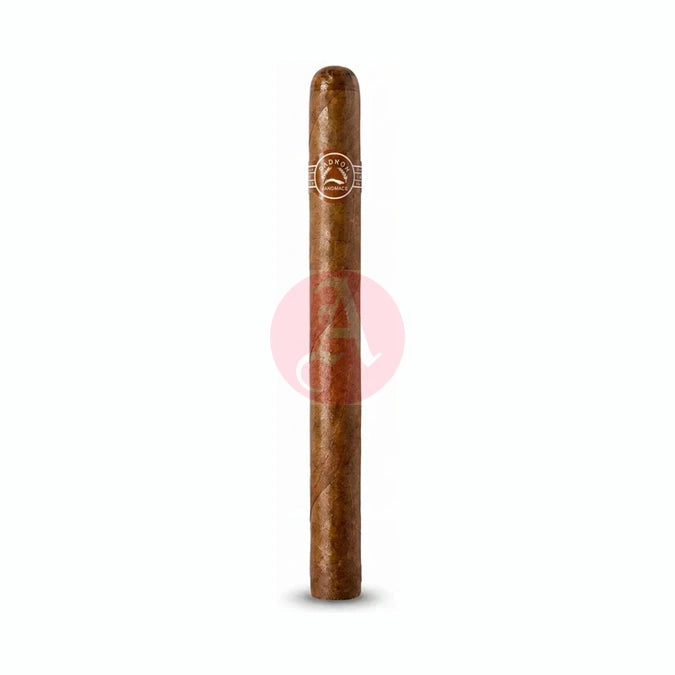 Padron Thousand Series Panatela Natural Single Cigar