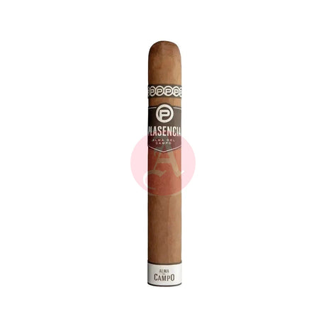 Plasencia Alma Del Campo Madrono Gordo Single Cigar