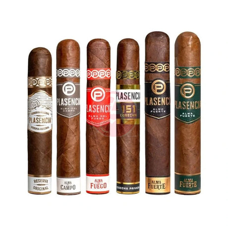 Plasencia Robusto Collection Single Cigar