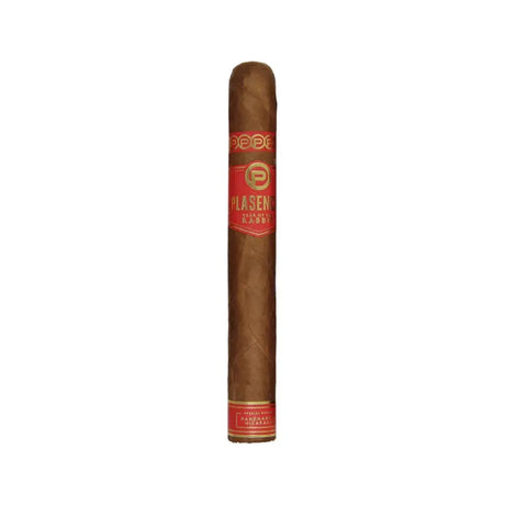 Plasencia Year of the Rabbit Limited Edition 2023 Single Cigar